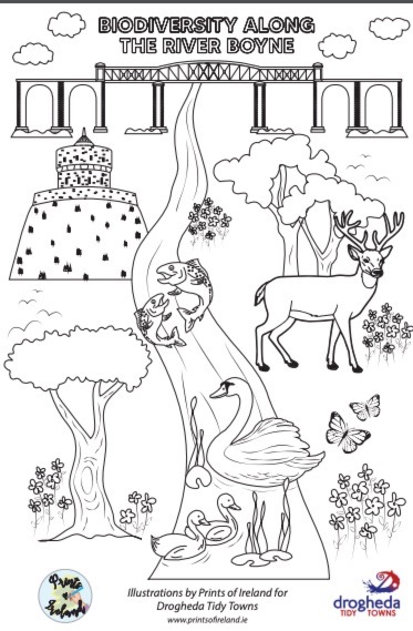 This image has an empty alt attribute; its file name is drog-tidy-towns-colouring-pages-2024-04-30-at-9.06.10-p.m.jpg