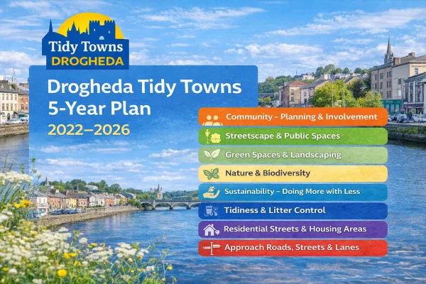 5 year plan graphic