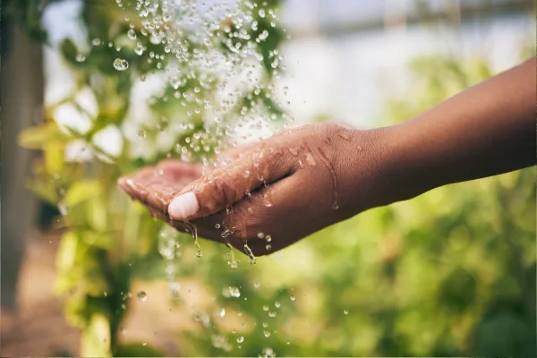 Hands together saving water in palms