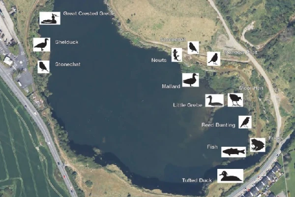 Old Cement Quarry 3 - Map of wildlife